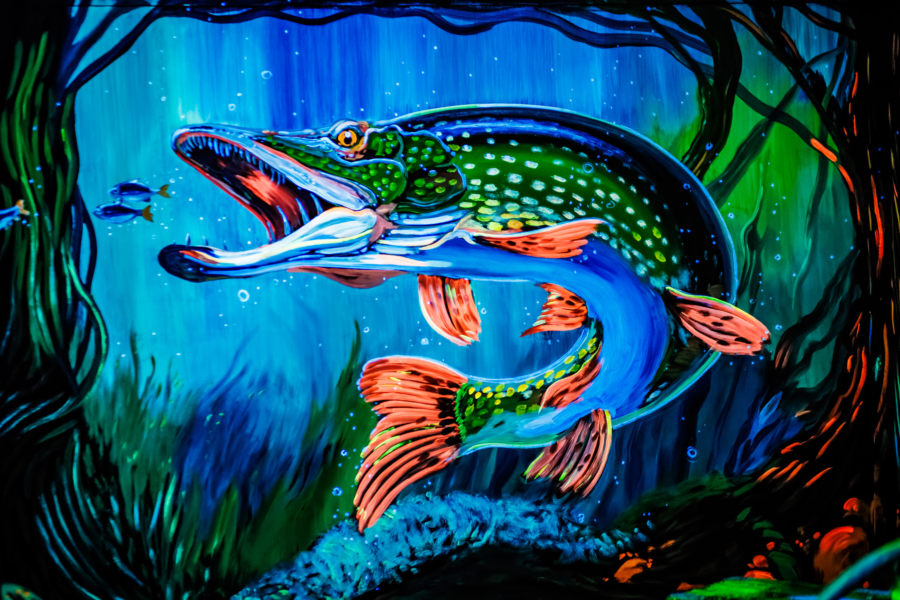 Een glow-in-the-dark beschildering van een vis bij Mauk