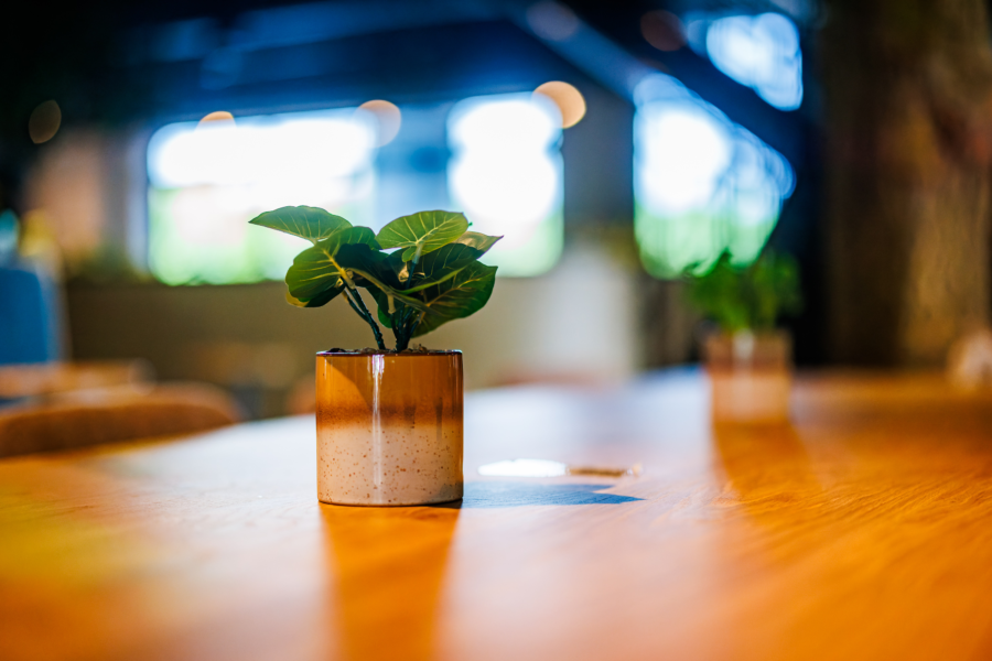 20240918 1258 Eilandvan Maurik MH 58198 CR3