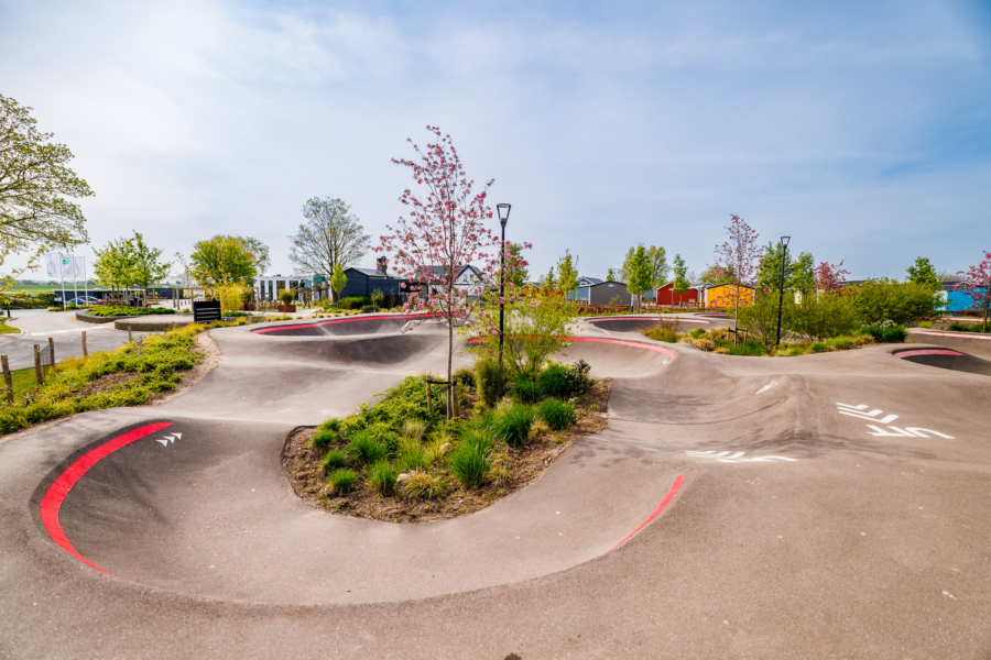 20240413 The Arrows Eilandvan Maurik MH 50045 CR3 PURE